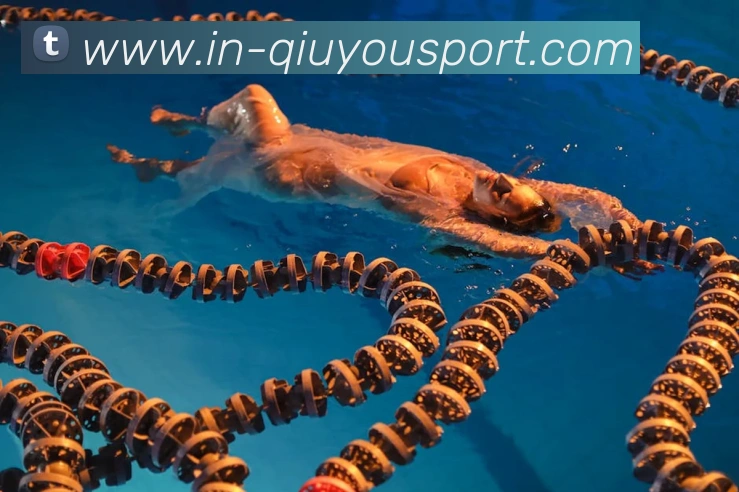 多媒体互动体验